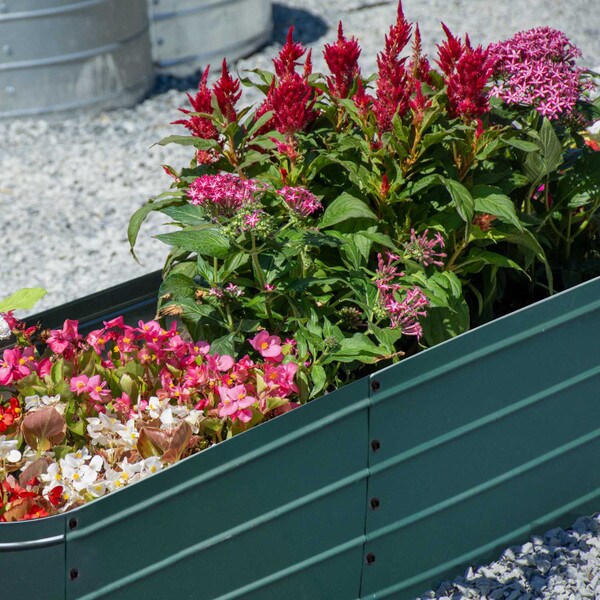 Galvanized Steel Raised Garden Bed